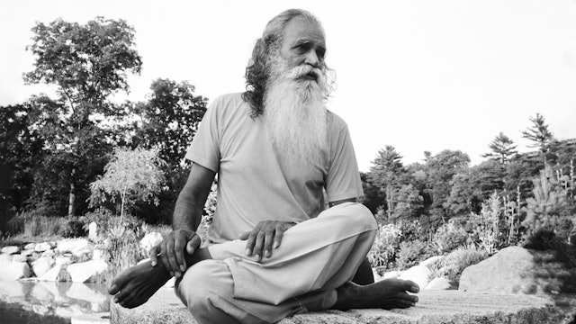 Fear of the Unknown in Meditation: Satsang with Swami Satchidananda