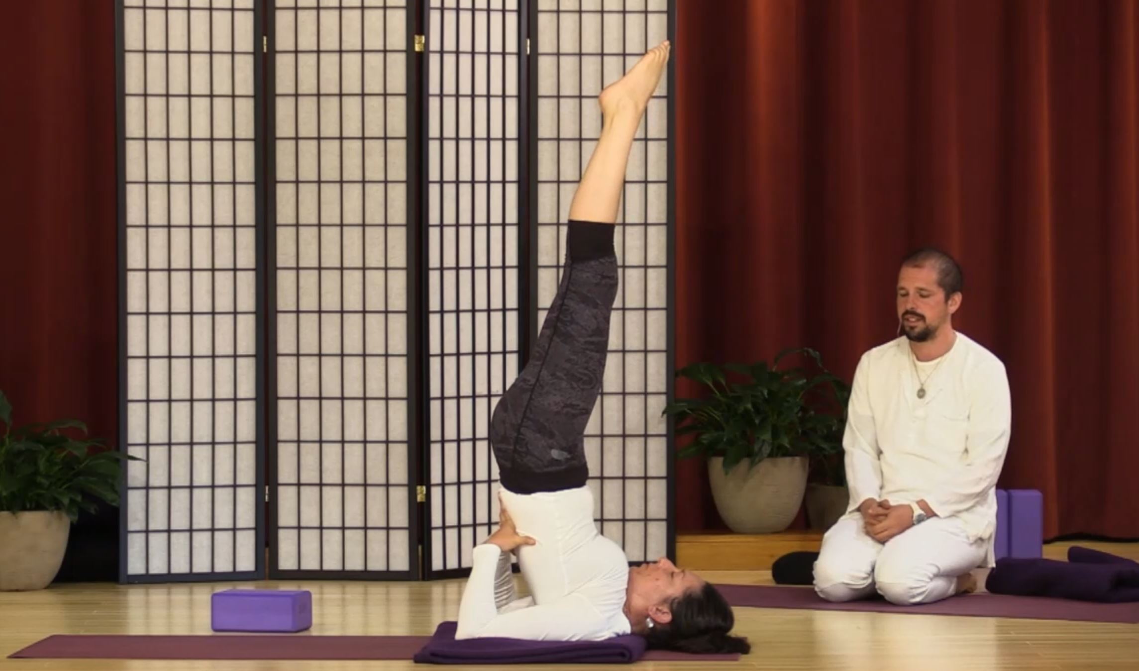 Hatha Yoga - Level 1 with Devendra - Class 1