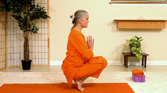 Hatha Yoga - Level 2: Balancing Effort & Ease with Saci Murphy