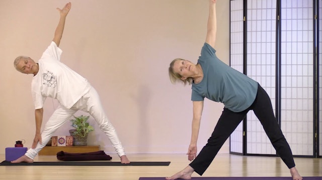 Hatha Yoga - Level 1 with Satya Greenstone - June 9, 2020