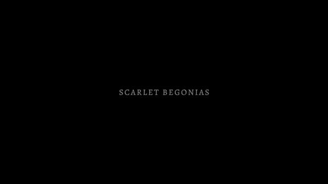 Scarlet Begonias