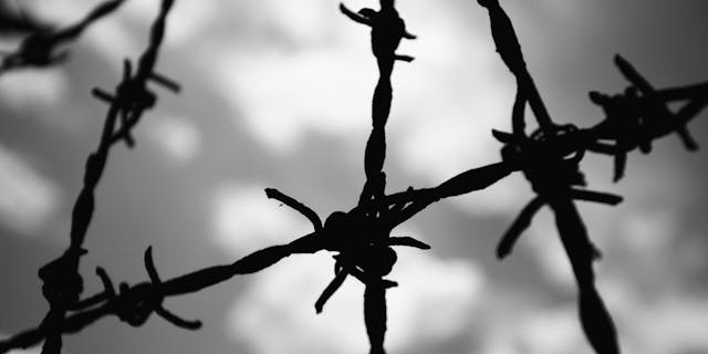 Jonathan Freedland on the Man Who Esc...