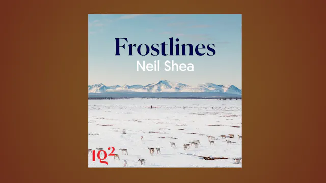 What Is Really at Stake at the North ...