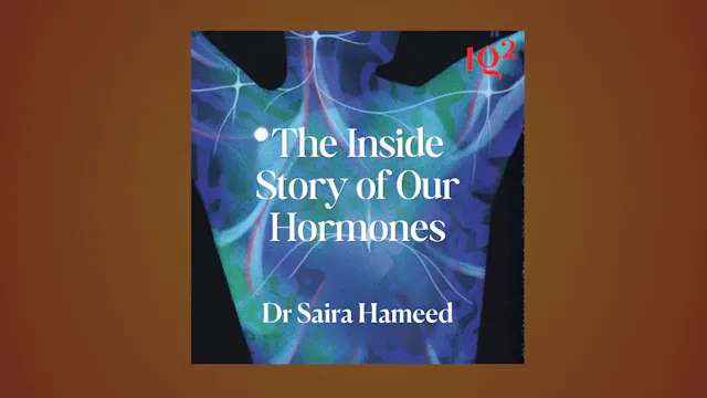 🎧 How Do Hormones Shape the Way We Fe...