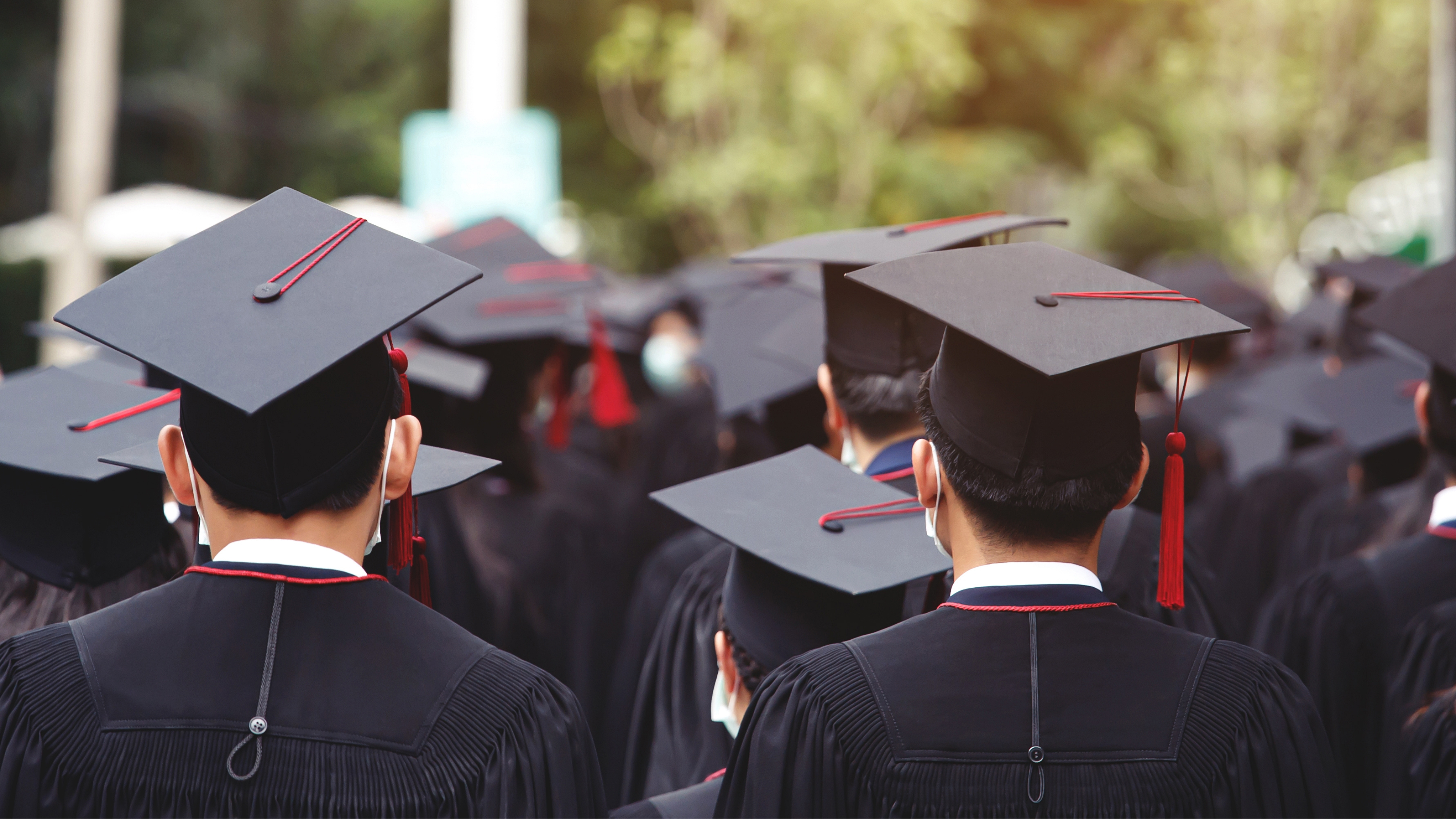 Too Many People go to University