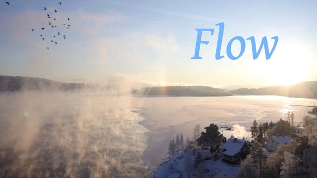 Flow