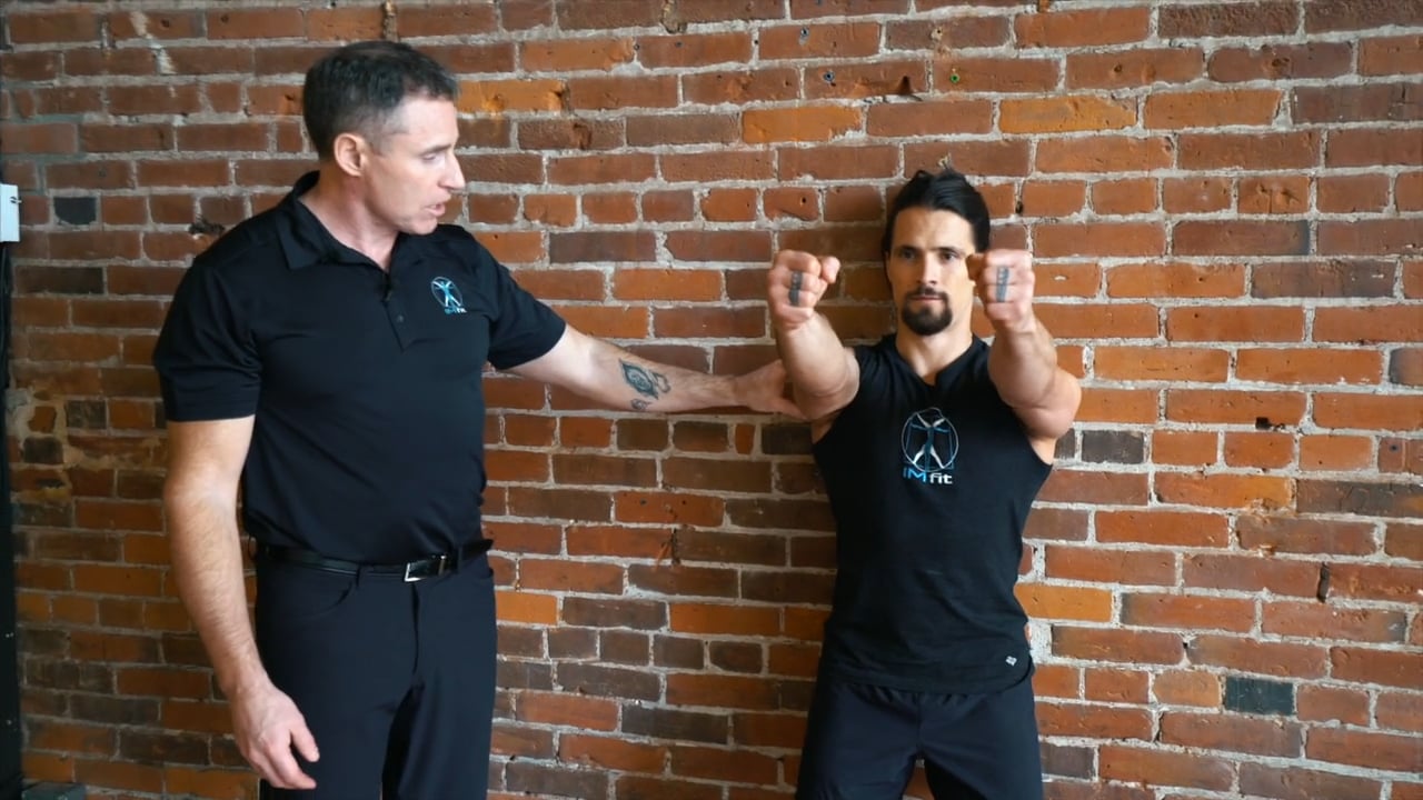 A4: Shoulder Flexion/ Extension “Mid-range straight arm rotation/ shoulder"