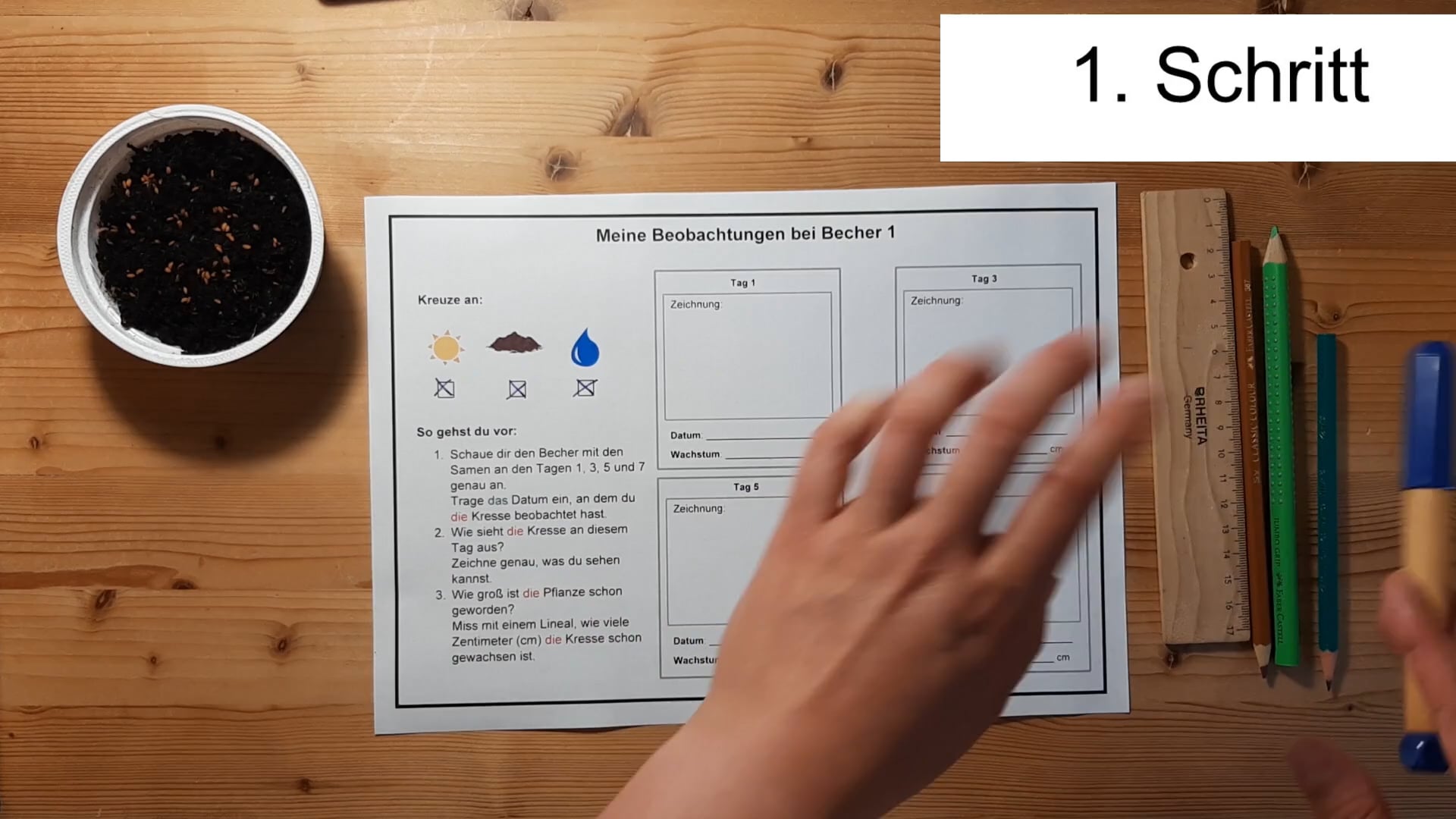 Interkulturelle Lernbegleitung Online Video