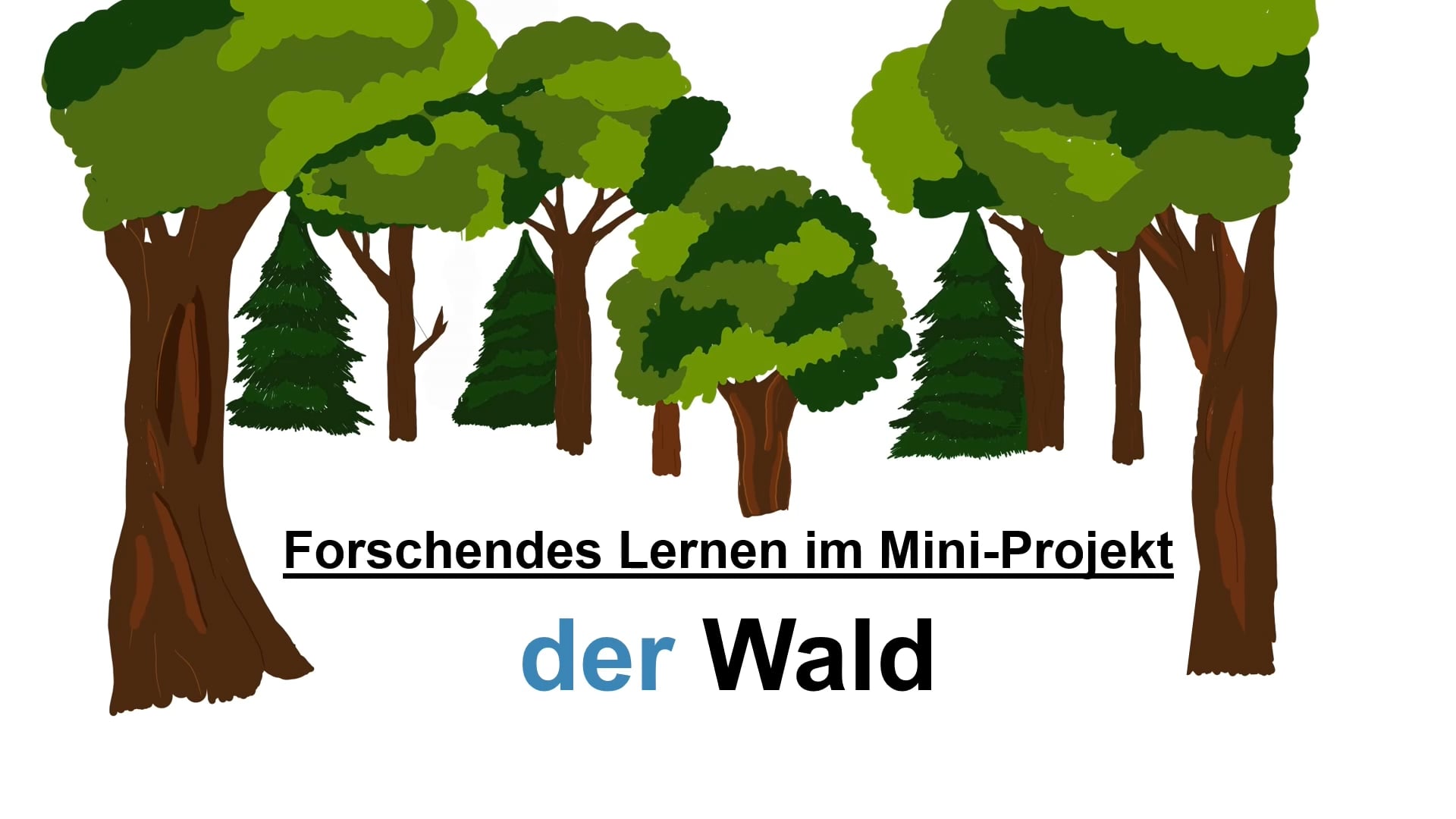 Interkulturelle Lernbegleitung Online Video