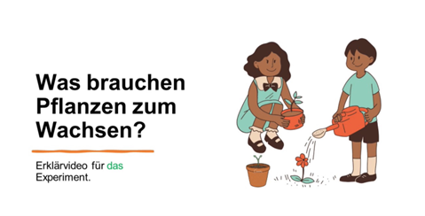 Mini-Projekt: Was brauchen Pflanzen zum Wachsen?
