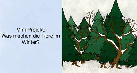 Mini-Projekt: Was machen die Tiere im Winter?