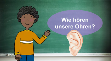 Mini-Projekt: Wie hören unsere Ohren?