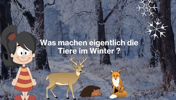 Mini-Projekt: Wie leben Tiere im Winter?