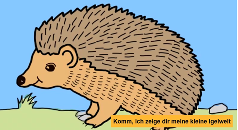 Mini-Projekt: Wie lebt der Igel?