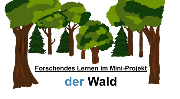 Mini-Projekt: Ich erforsche den Wald
