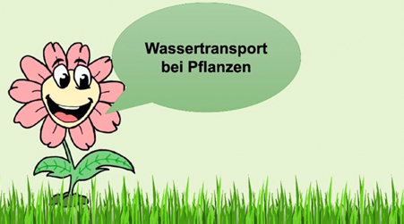 Mini-Projekt: Wie transportiert die Pflanze Wasser?