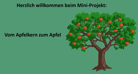 Mini-Projekt: Vom Apfelkern zum Apfel