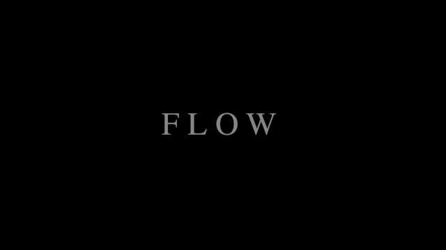 FLOW (USA)