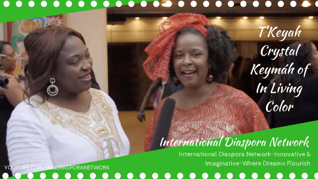 International Diaspora Network Video