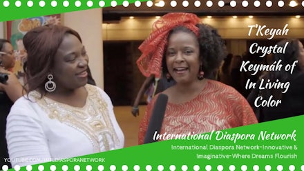 International Diaspora Network Video