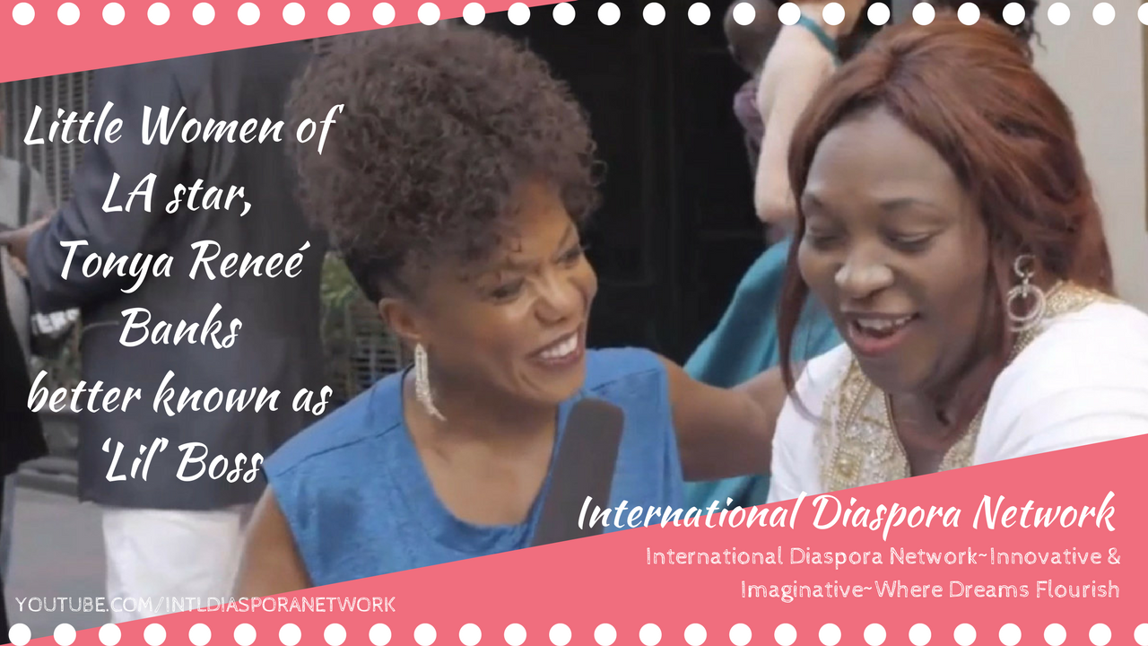 International Diaspora Network Video