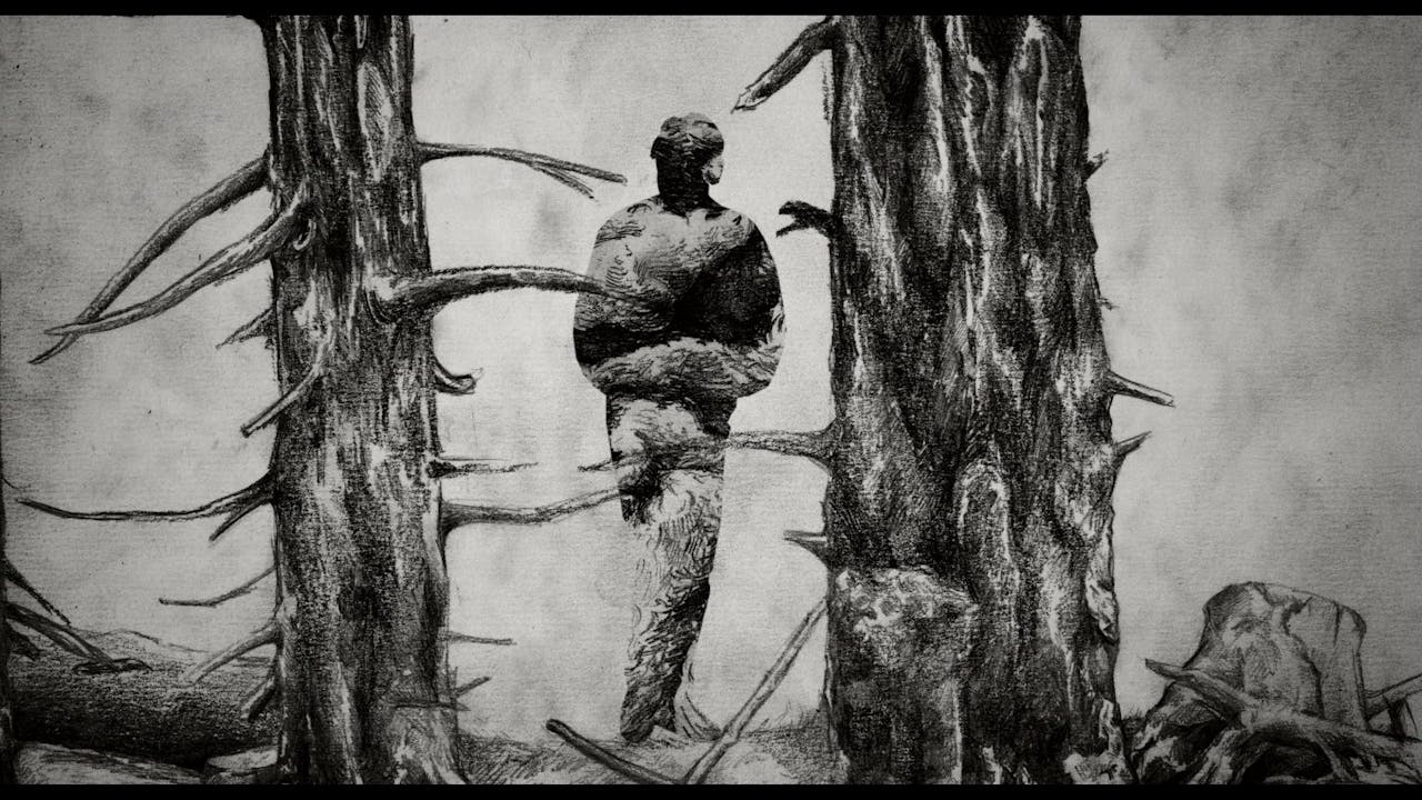 Silent Wilderness, a film by Mathijs Vleugels 