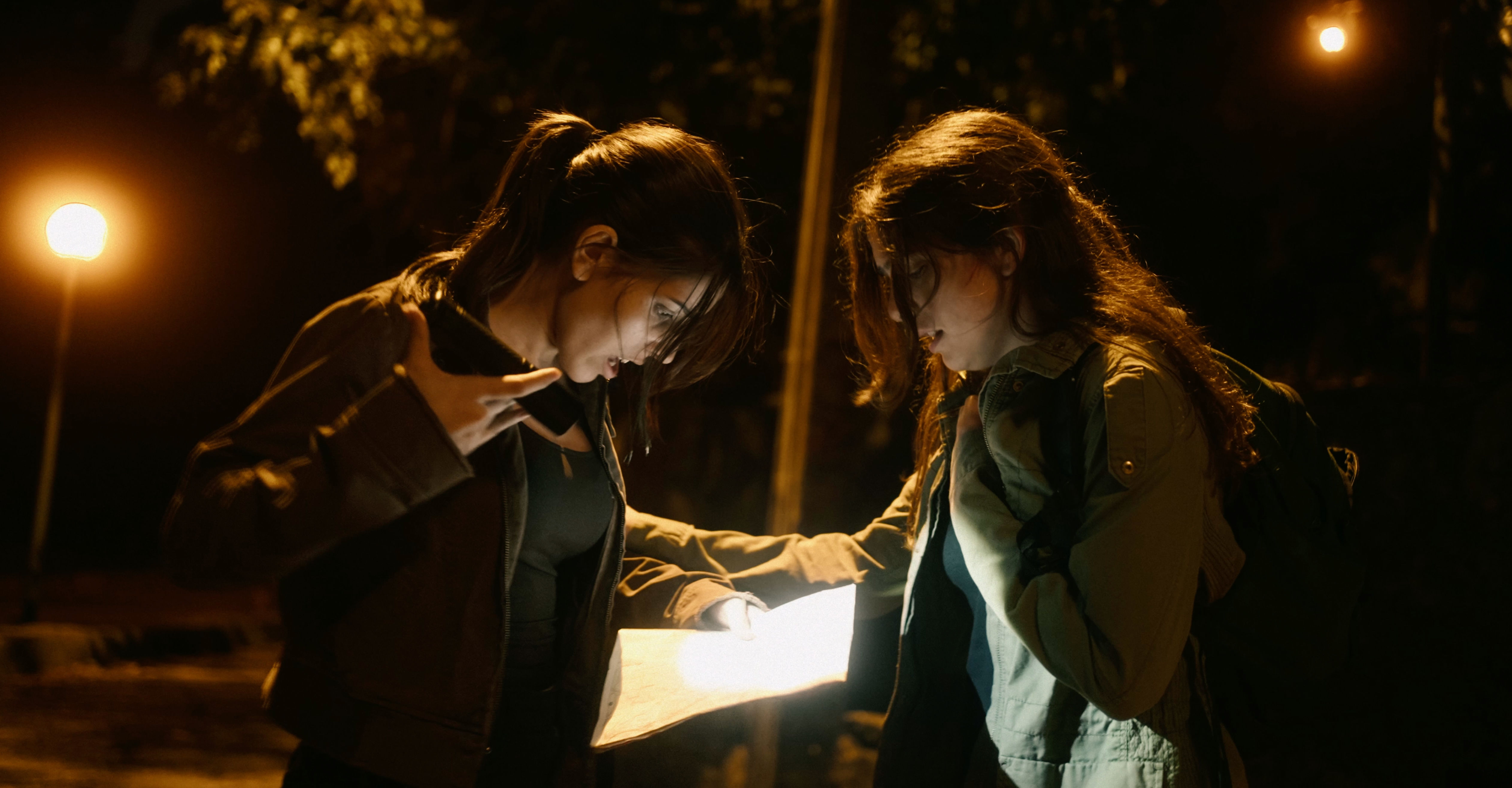 EARLY ACCESS PACKAGE | INTO THE SHADOWS