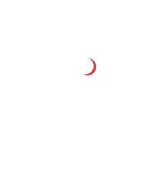 Into the Shadows