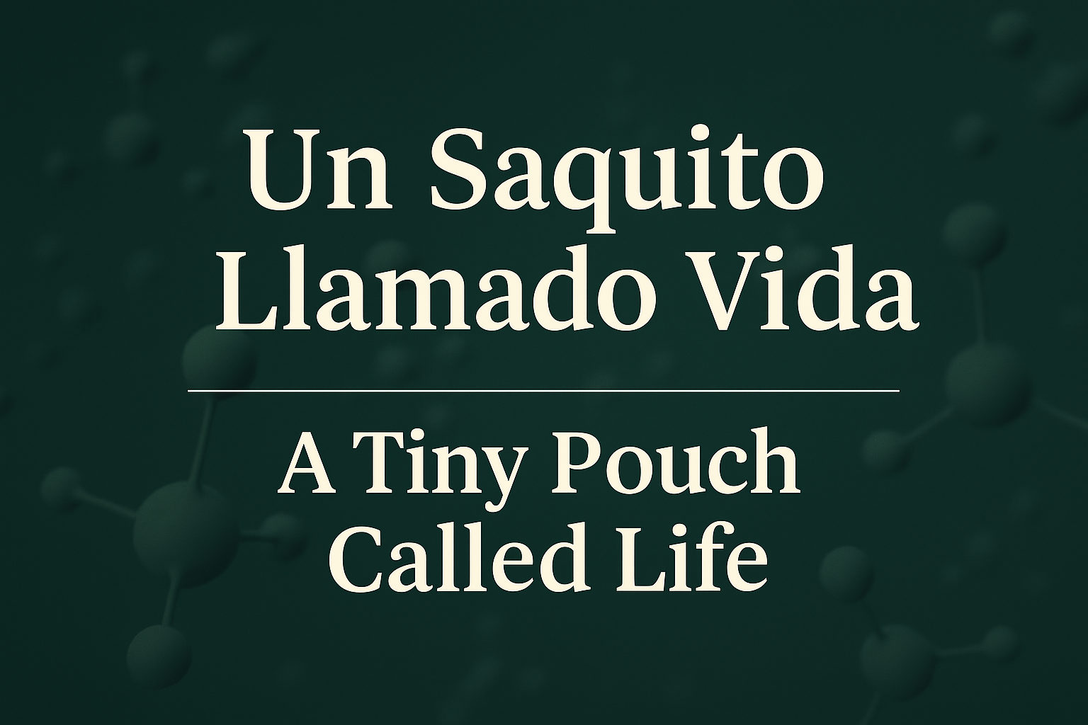A Tiny Pouch Called Life