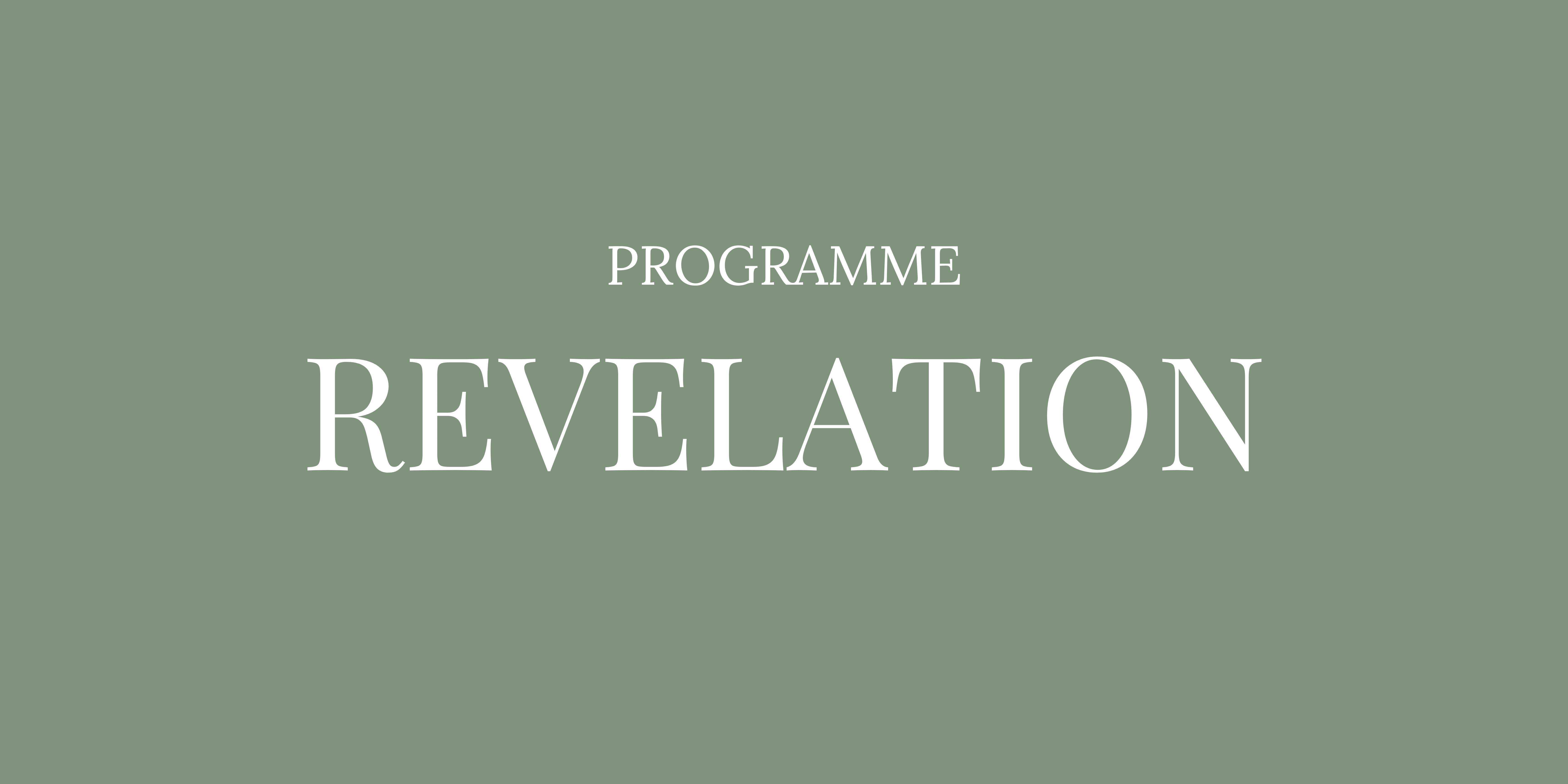 WORKBOOK-REVELATION.pdf