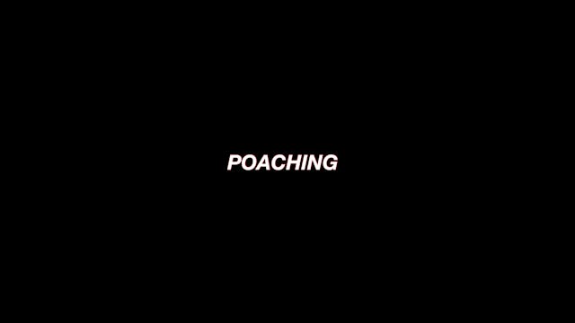 12. Poaching Masterclass