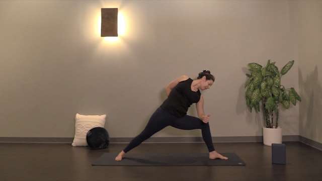 Scrumptious Shoulders- Vinyasa Yoga w/ Erin E. (Level 2)