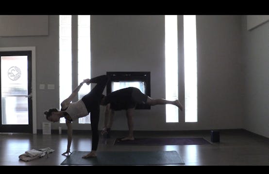 Deep Hamstrings & Twists- Vinyasa Yog...