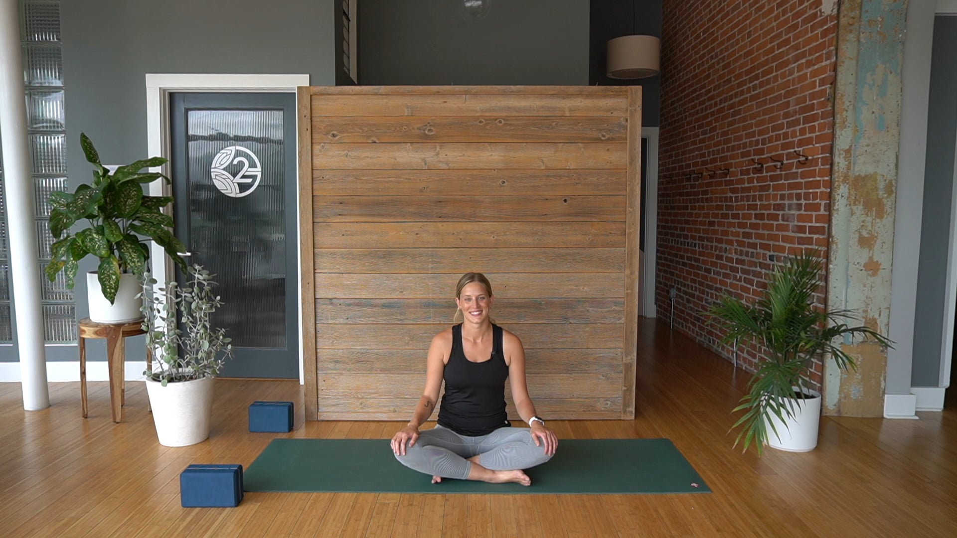 Slow Flow- Vinyasa Yoga w/ Ally (Level 1)