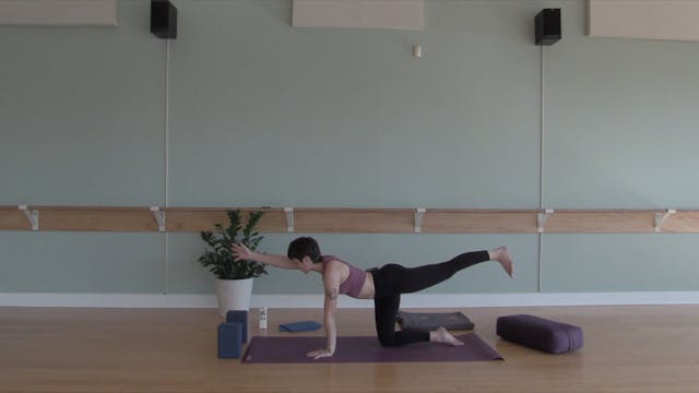 Intro to Yoga #2 w/ Bekah (Level 1)