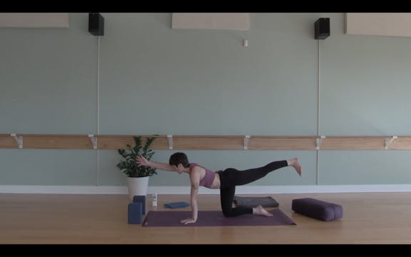 Intro to Yoga #2- Vinyasa Yoga w/ Bekah (Level 1)