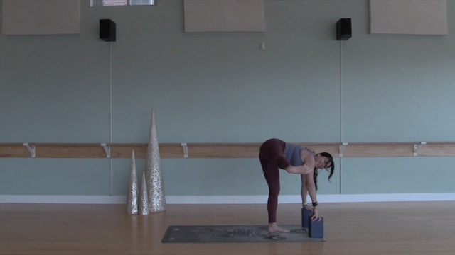 Fire Hydrant Pose- Vinyasa Yoga w/ Yvonne (Level 2/3)