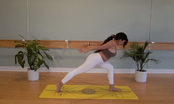 Thoracic Mobility- Vinyasa Yoga w/ Yv...