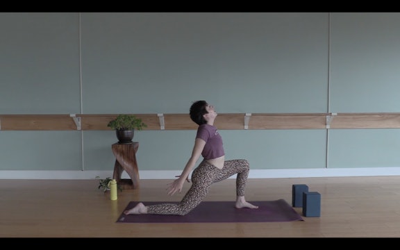 Upper Body Opening- Vinyasa Yoga w/ Bekah (Level 1)