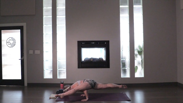 Align Flow- Vinyasa Yoga w/ Jill (Level 2/3)