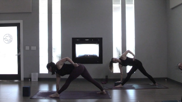Conscious Breath- Vinyasa Yoga w/ Erin E. (Level 2)