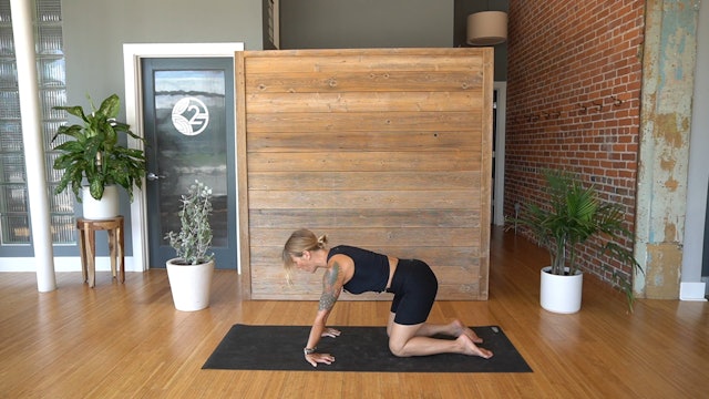 Handstand Tutorial- Inversion Yoga Practice w/ Megan Z. (Level 2/3)