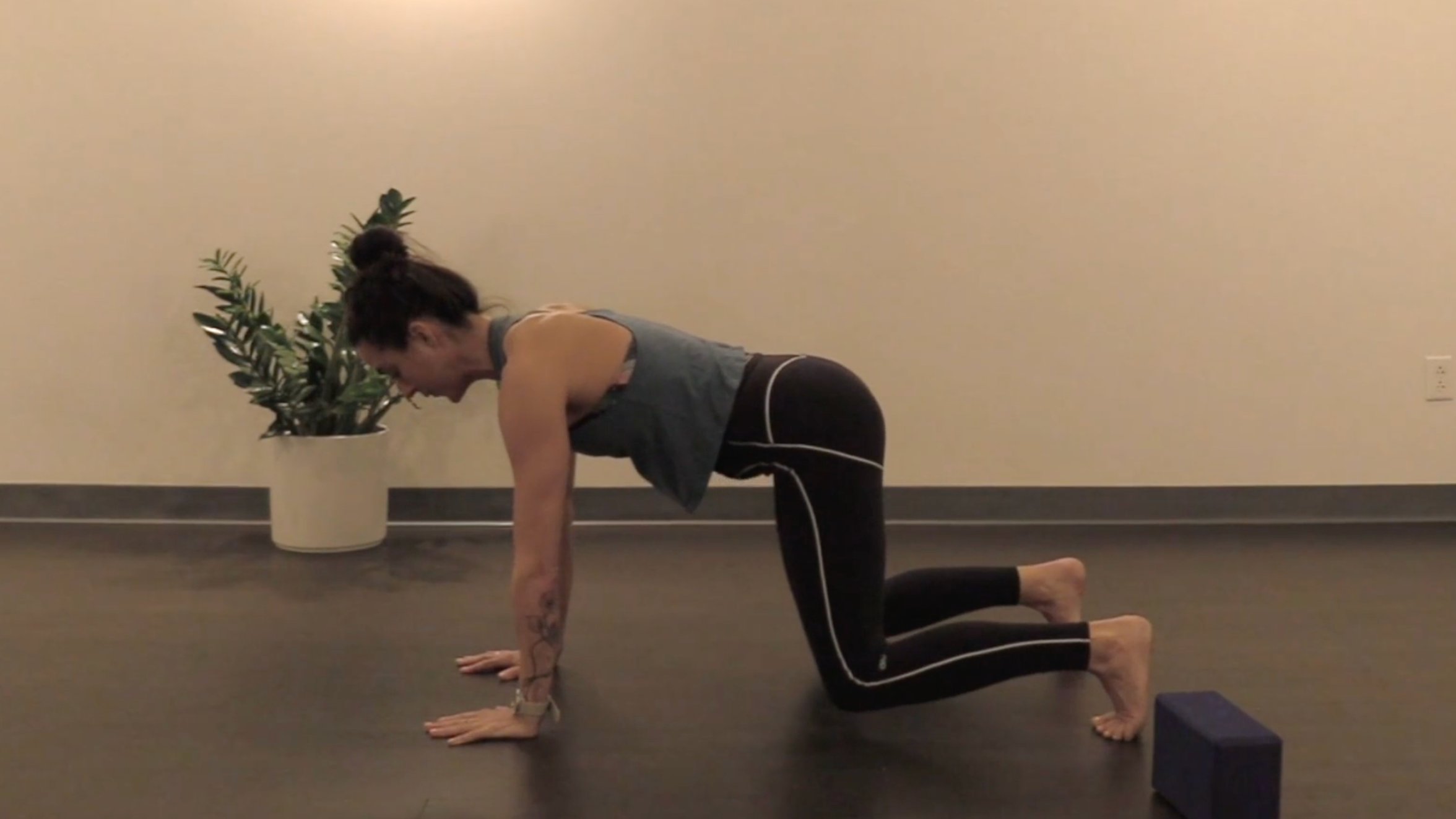 Pelvic Floor Class 1- What is the Pelvic Floor? w/ Elizabeth H. ( All Levels )