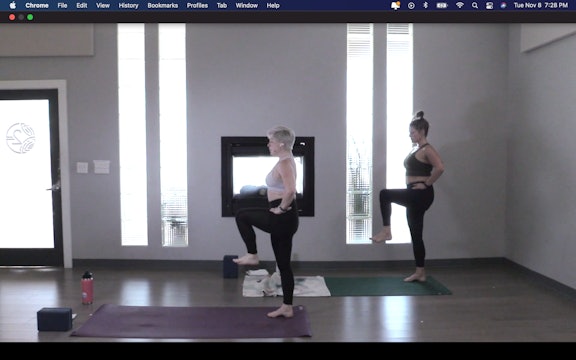Practicing Gratitude- Vinyasa Yoga w/ Jill (Level 2)