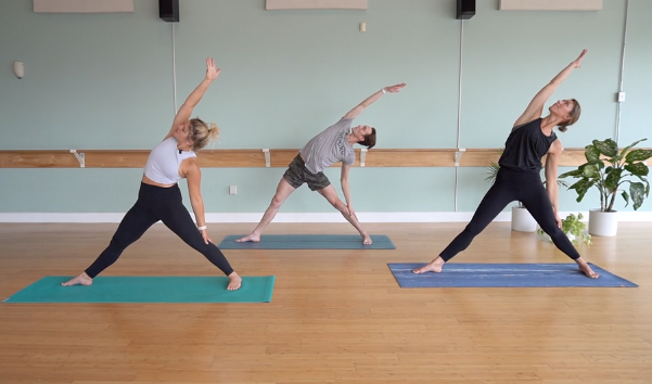 Vinyasa Flow with Brooke Lutgring (Level 2)