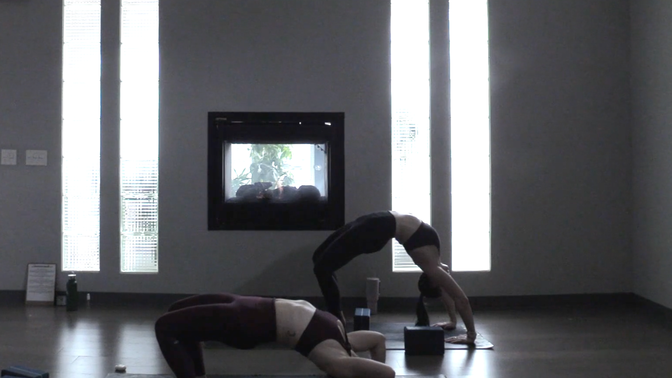 Rooting into your Foundation- Vinyasa Yoga w/ Ashley Lee (Level 2)