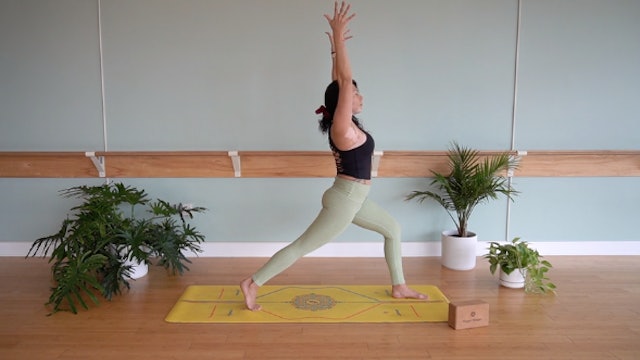 Vinyasa Foundations- Vinyasa Yoga w/ Yvonne (Level 1)