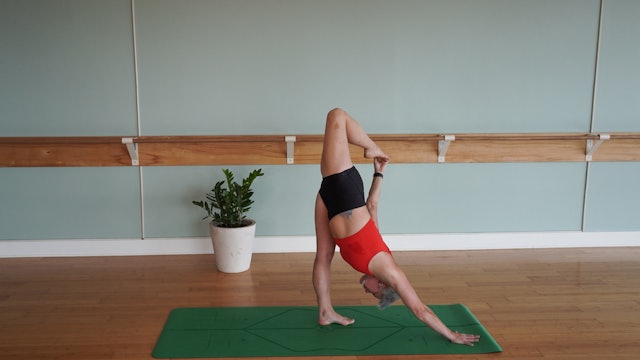 Hips and Side Body Focus- Vinyasa Yoga w/ Jill (Level 2)