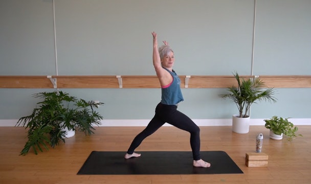 Upper Body Opening- Vinyasa Yoga w/ Jill (Level 1)