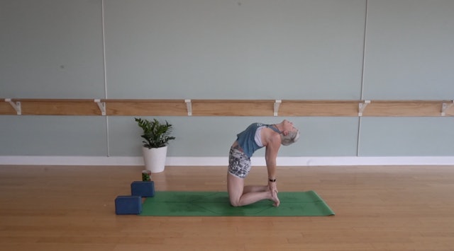 Camel Pose Flow- Vinyasa Yoga w/ Jill (Level 1)